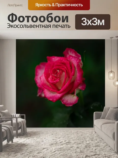 Фотообои Розы