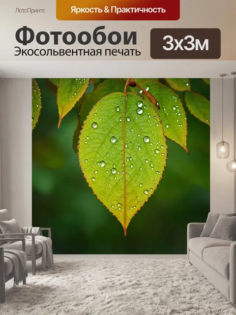Фотообои листья с росой утром