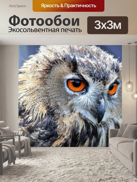 Фотообои Филин