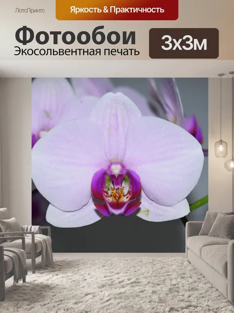 Фотообои Цветок