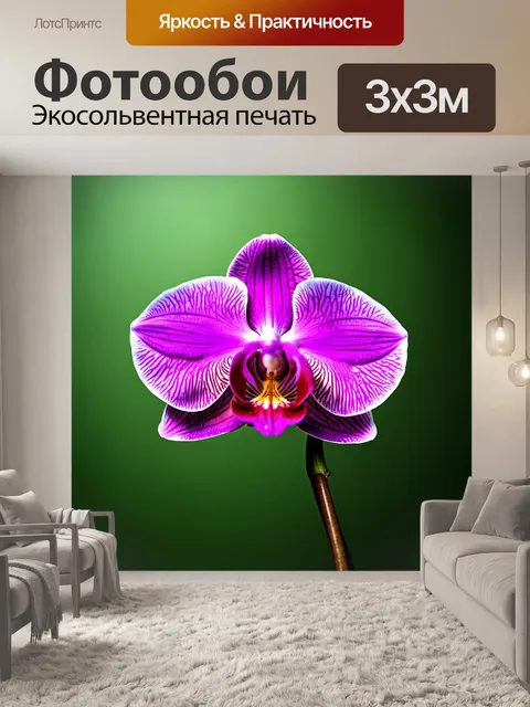 Фотообои орхидея, нарисованная в стиле минимализма, с упрощенными формами и чистыми линиями