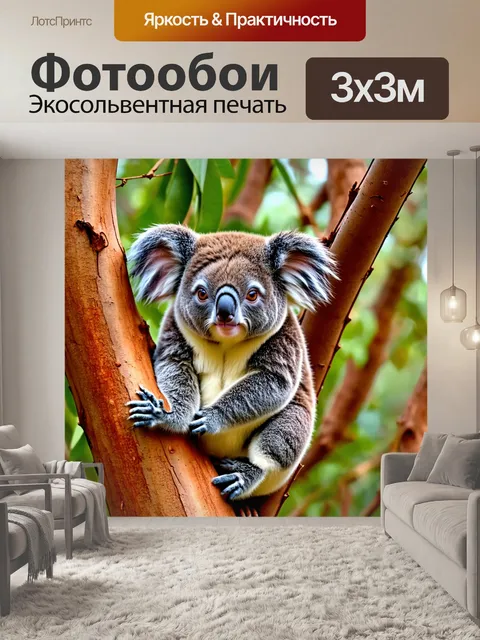 Фотообои охота на коал в австралийских елах, необычные текстуры и зелёный лесной покров, тишина природы