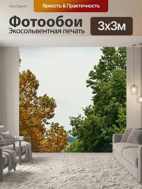 Фотообои платан, все на осень