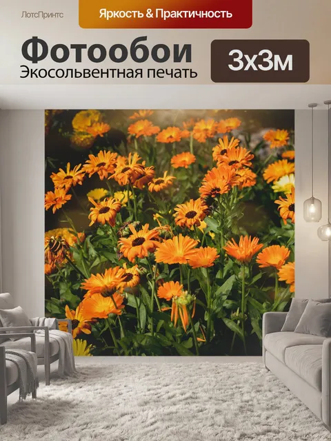 Фотообои Цветы