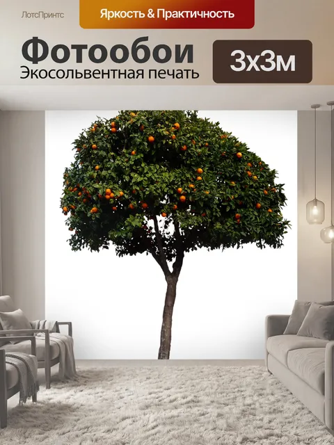 Фотообои Апельсины