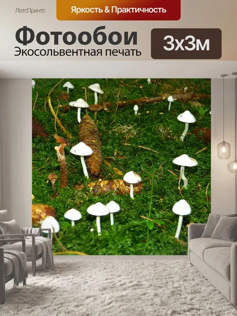 Фотообои Грибы