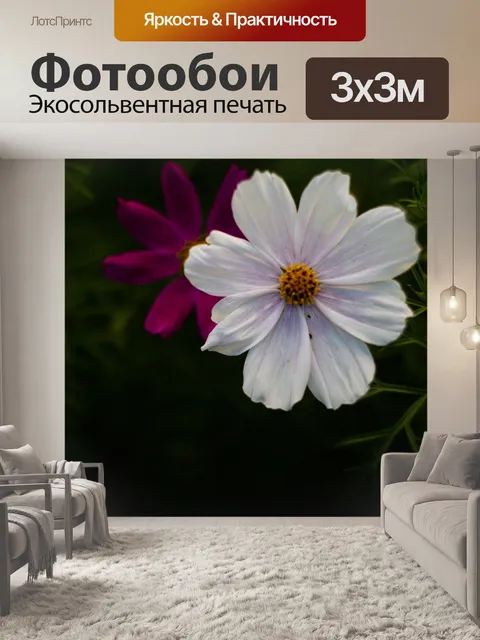 Фотообои Цветы