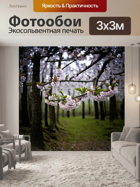 Фотообои уединённый уголок леса