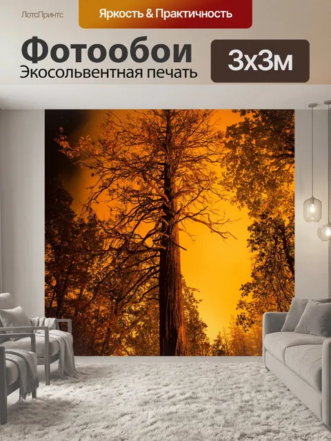 Фотообои Лесной пожар