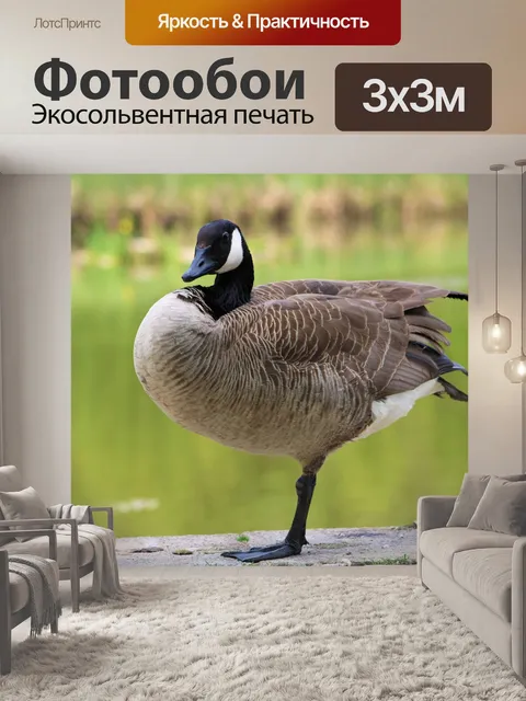 Фотообои Гусь