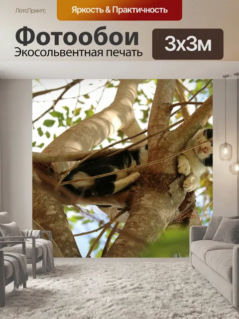 Фотообои Кошка