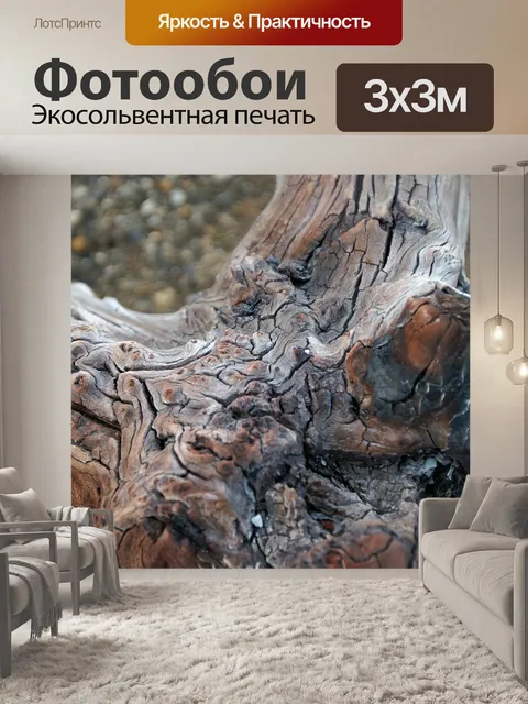 Фотообои Корень