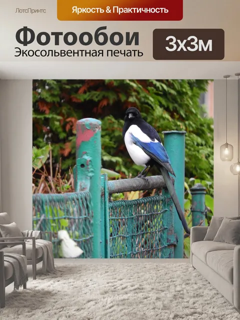 Фотообои Страка