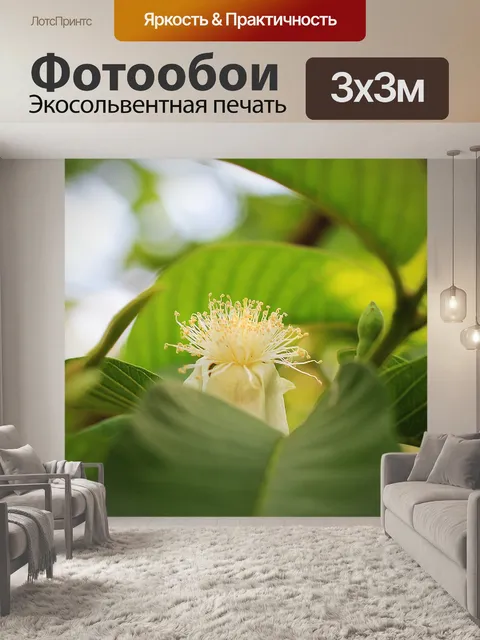 Фотообои Цветок