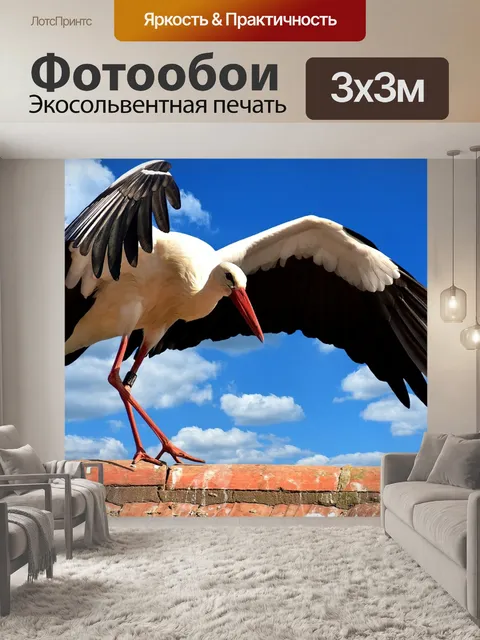 Фотообои Аист