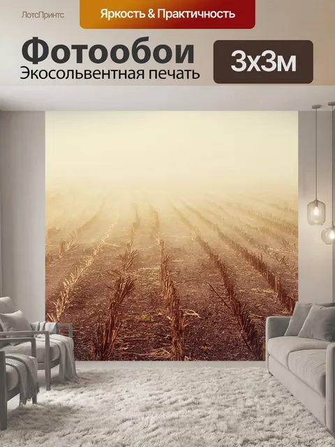Фотообои Рассвет