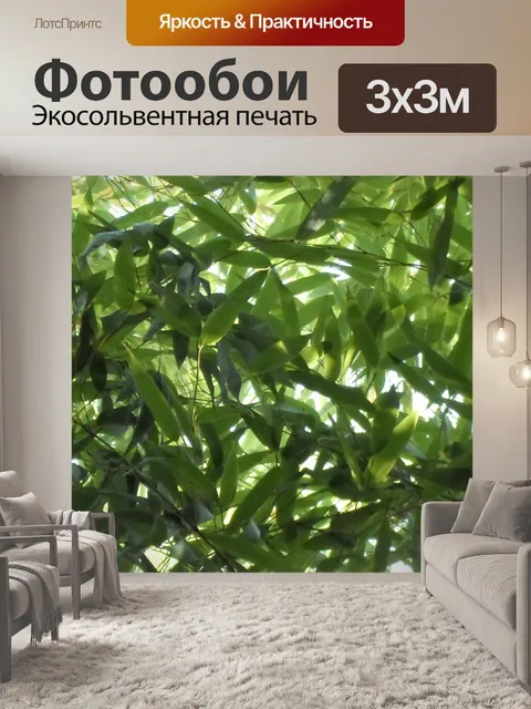 Фотообои Растение бамбуковая листва зеленая