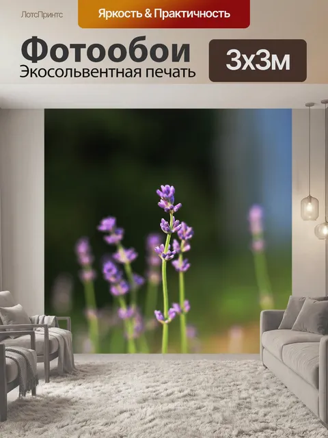 Фотообои Лаванда