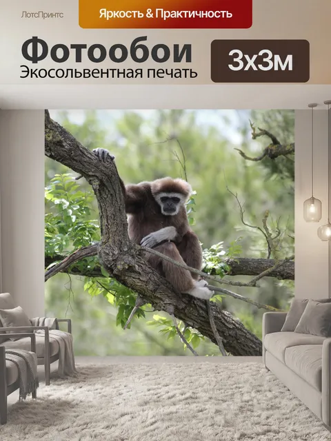 Фотообои Джунгли