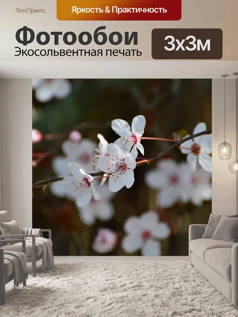 Фотообои Цветение вишни