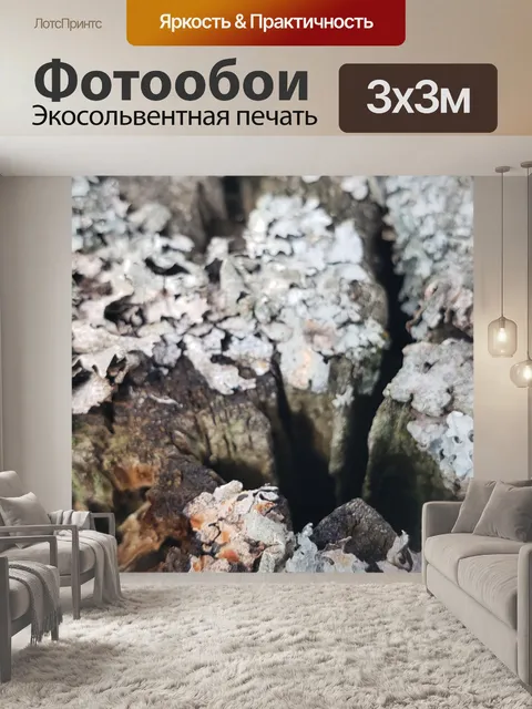 Фотообои Лишайник на заборе 1