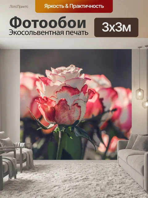 Фотообои Романтические розы