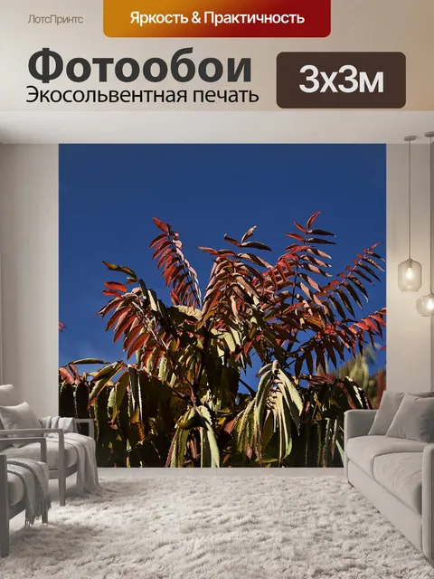 Фотообои Листья