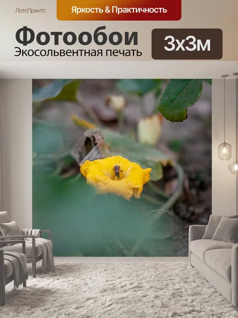 Фотообои Дерево