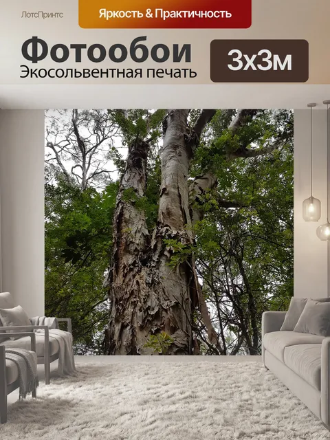 Фотообои Дерево