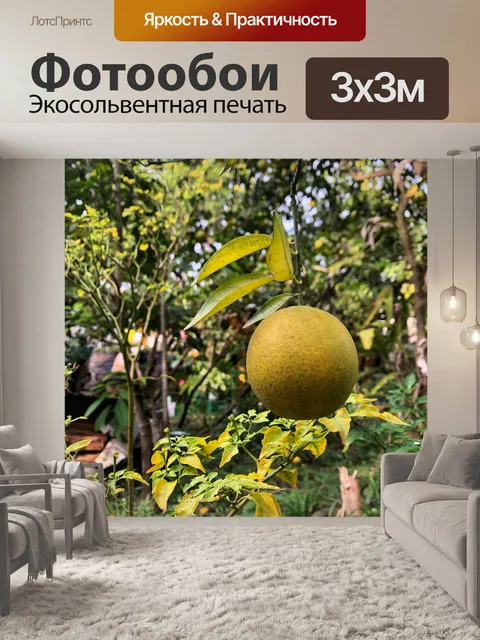 Фотообои Цвета