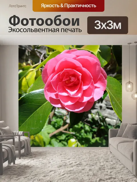 Фотообои Розовые розы