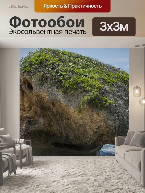 Фотообои Череп