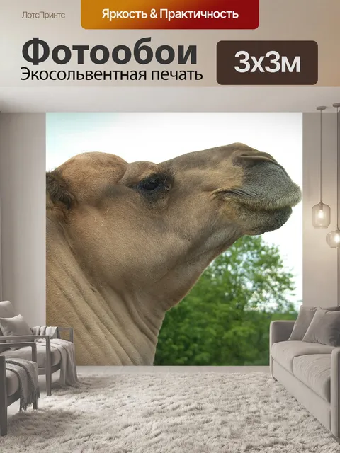 Фотообои Животные