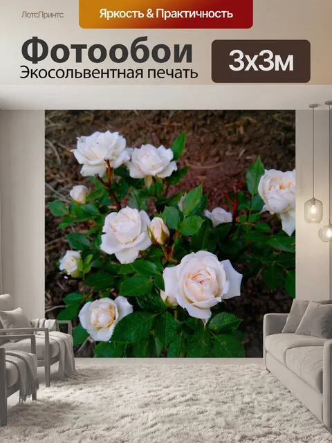 Фотообои Нежность