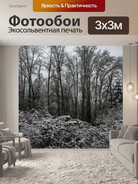 Фотообои Зимний лес
