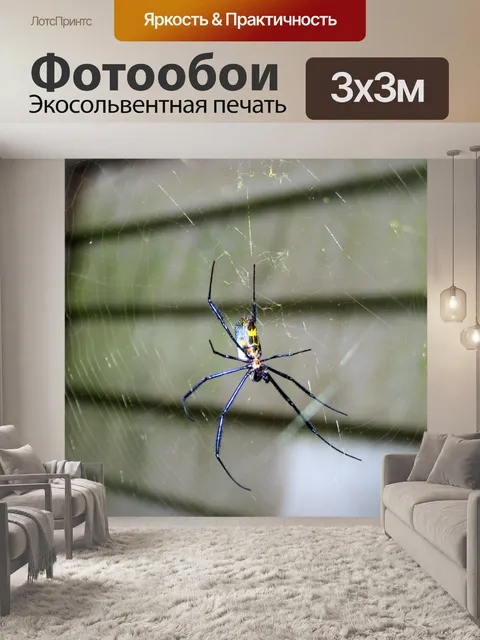 Фотообои сад паук
