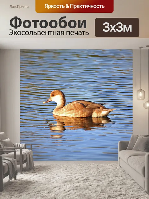 Фотообои Птица