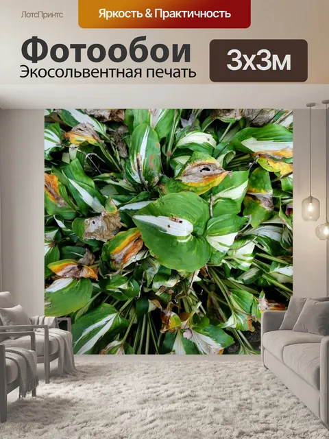 Фотообои Осенняя история Буш
