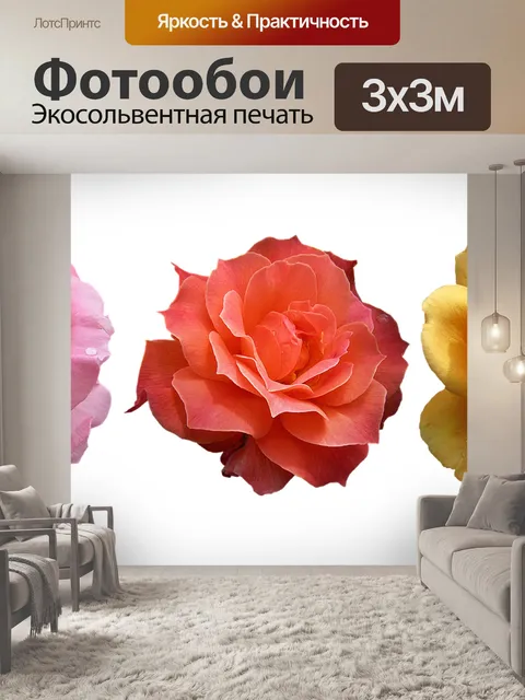 Фотообои Цветы