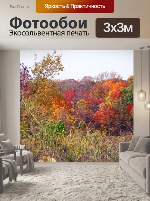 Фотообои Осень поле