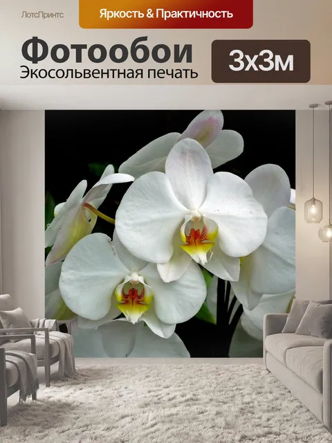 Фотообои Орхидеи