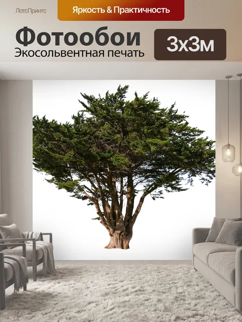 Фотообои Дерево на изолированном фоне
