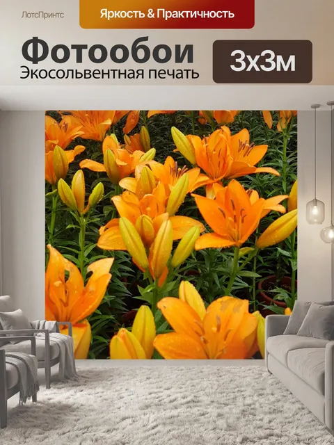 Фотообои Оранжевые цветы