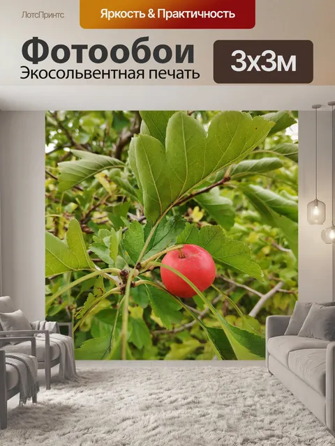 Фотообои Боярышник