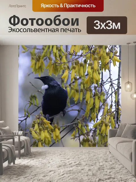 Фотообои Птица