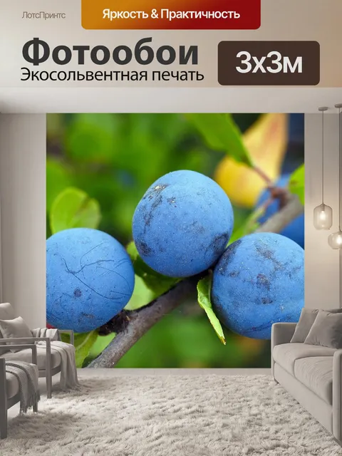 Фотообои Терн