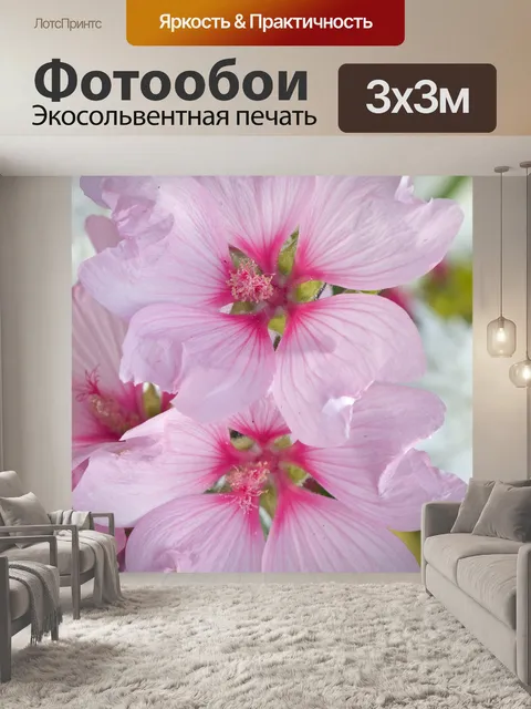 Фотообои Розовые цветы