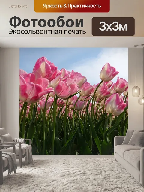 Фотообои Тюльпаны