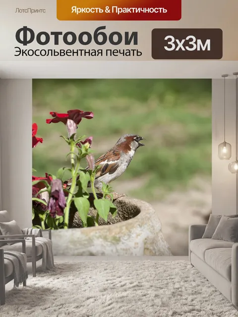 Фотообои Птица