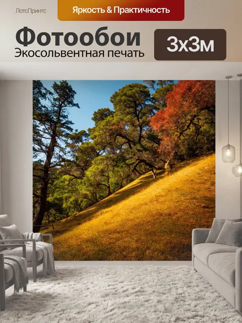 Фотообои крутые холмы с древними деревьями, олицетворяющими историю местности